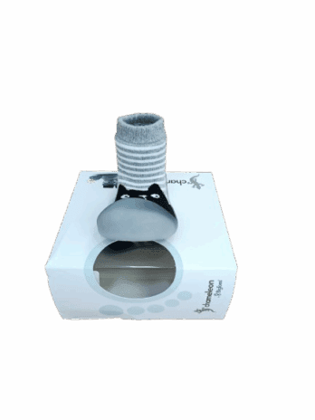 Zapatitos Chameleon Gato